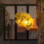 Decorative Solar Animal Garden Light – Owl / Chameleon / Toucan / Raccoon – (1 LED)