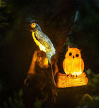 Decorative Solar Animal Garden Light – Owl / Chameleon / Toucan / Raccoon – (1 LED)