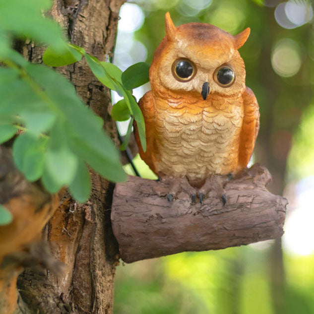 Decorative Solar Animal Garden Light – Owl / Chameleon / Toucan / Raccoon – (1 LED)