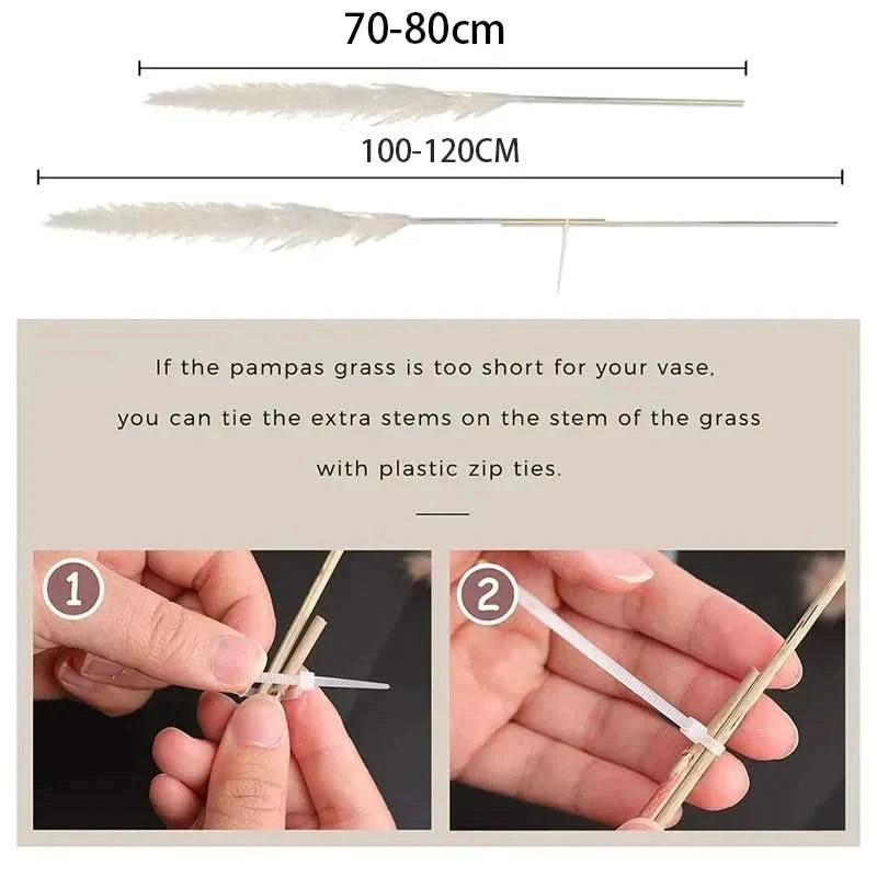Faux Pampas Grass Stems, 65cm, Set of 5 or 10