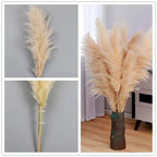 Faux Pampas Grass Stems, 65cm, Set of 5 or 10