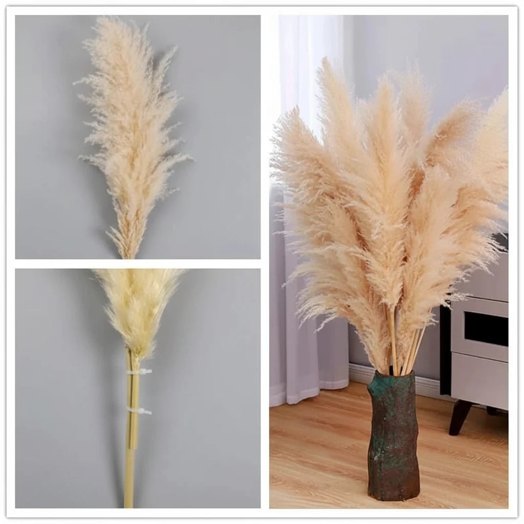 Faux Pampas Grass Stems, 65cm, Set of 5 or 10