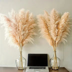 Faux Pampas Grass Stems, 65cm, Set of 5 or 10