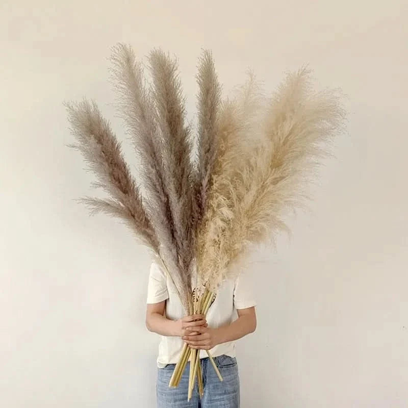 Faux Pampas Grass Stems, 65cm, Set of 5 or 10