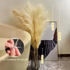 Faux Pampas Grass Stems, 65cm, Set of 5 or 10