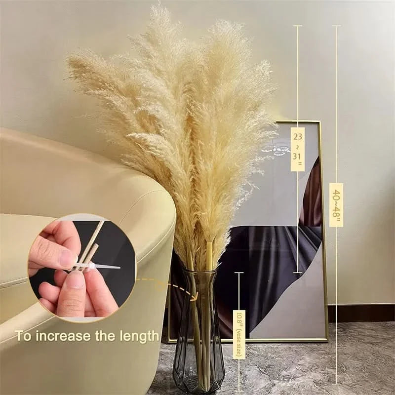 Faux Pampas Grass Stems, 65cm, Set of 5 or 10