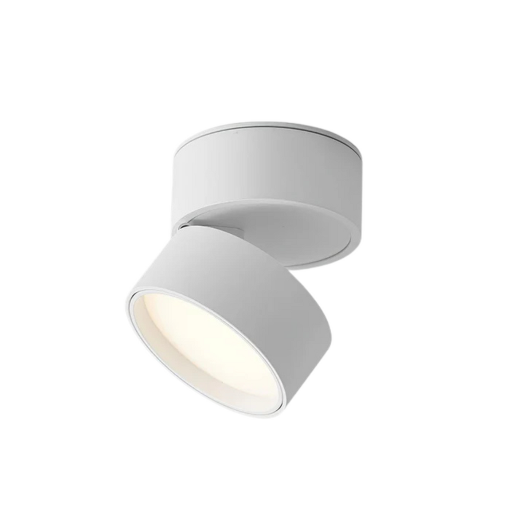 Somos – Adjustable LED Ceiling Lamp
