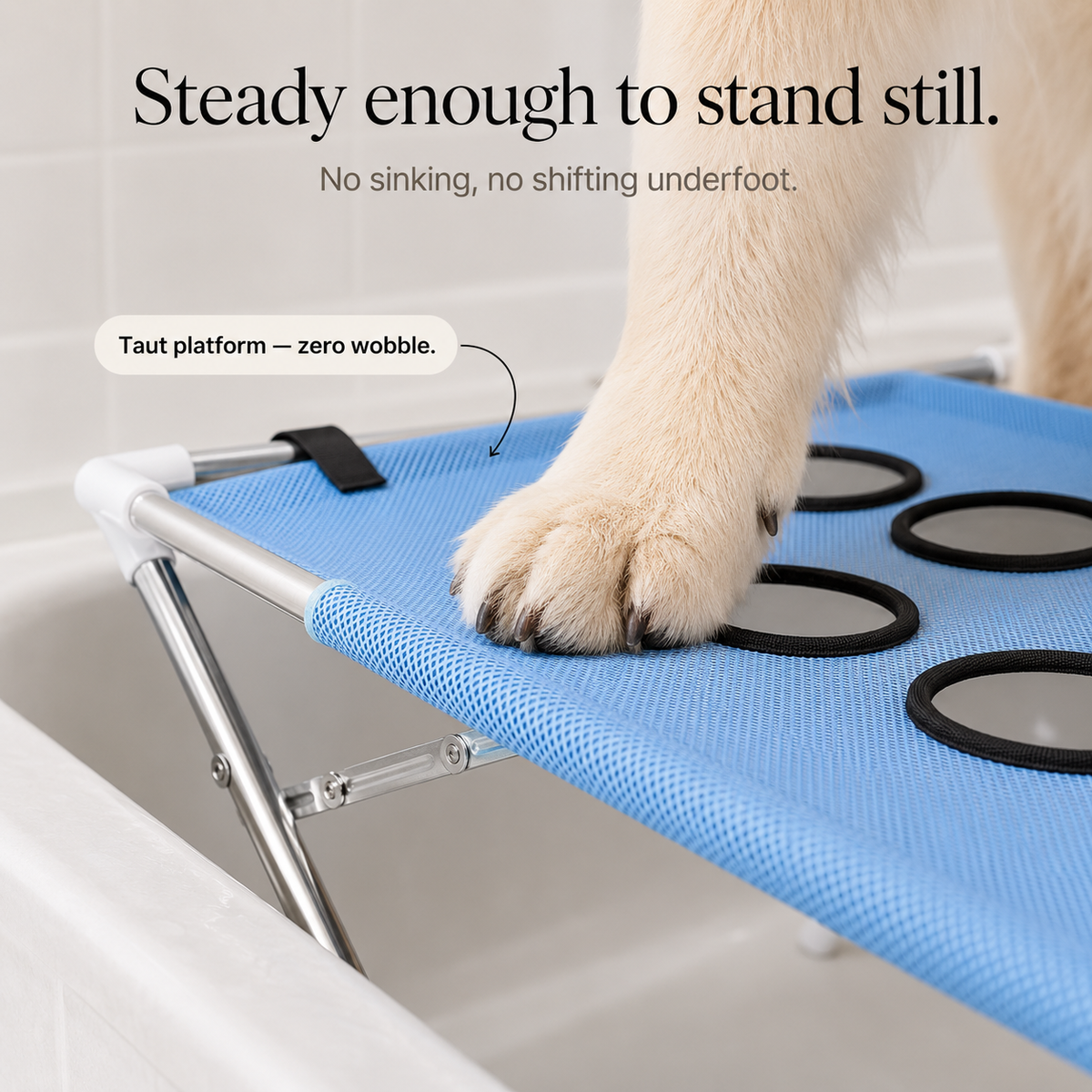 Dog Bath Platform – Elevated Non-Slip Stainless Steel
