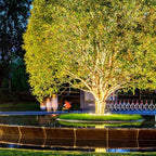 Arborix | Weather-Resistant LED Outdoor Spotlights for Trees