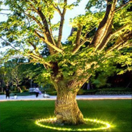 Arborix | Weather-Resistant LED Outdoor Spotlights for Trees