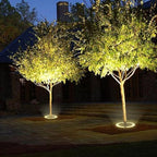 Arborix | Weather-Resistant LED Outdoor Spotlights for Trees