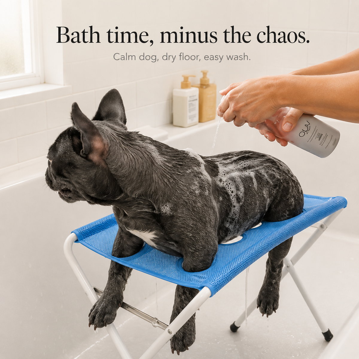 Dog Bath Platform – Elevated Non-Slip Stainless Steel