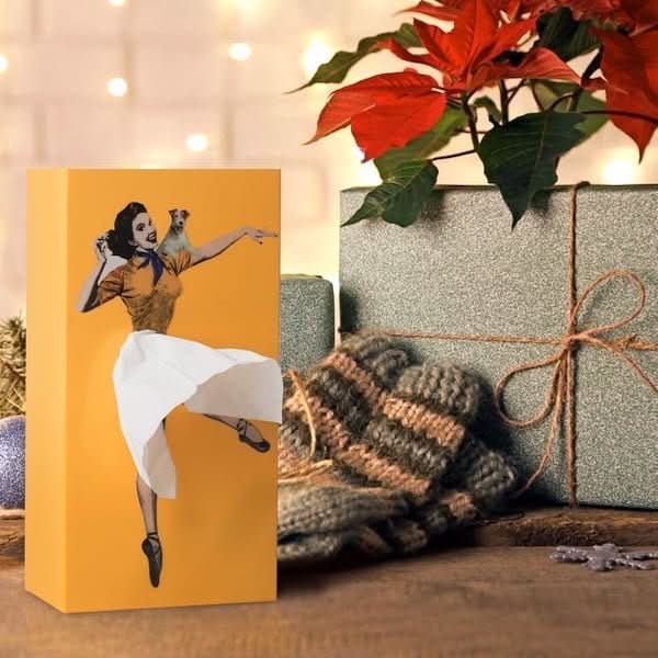TISSUDANCE – Playful Rock Tissue Box for Creative Home Décor