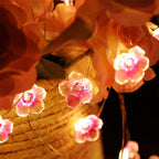 Pink LED Decorative String Lights – Creative – (30 LEDs)