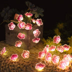 Pink LED Decorative String Lights – Creative – (30 LEDs)