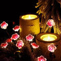 Pink LED Decorative String Lights – Creative – (30 LEDs)
