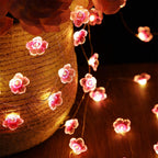 Pink LED Decorative String Lights – Creative – (30 LEDs)