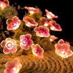 Pink LED Decorative String Lights – Creative – (30 LEDs)