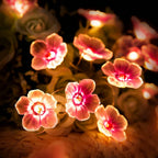 Pink LED Decorative String Lights – Creative – (30 LEDs)