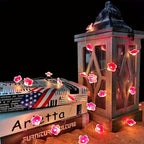 Pink LED Decorative String Lights – Creative – (30 LEDs)