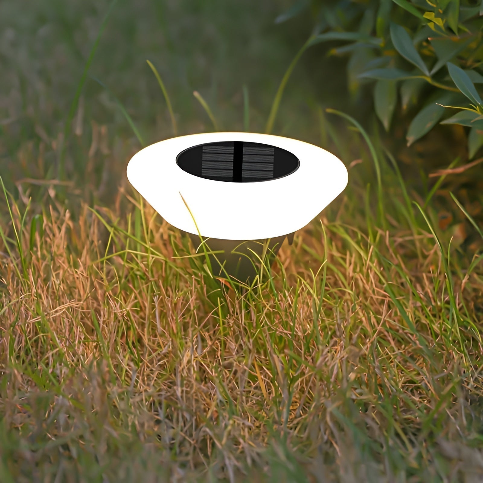 LumiPath Nova | Solar-Powered LED Garden Lamp for Stylish Outdoor Lighting