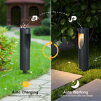 Solenne Solar Garden Path Light for Outdoor Use