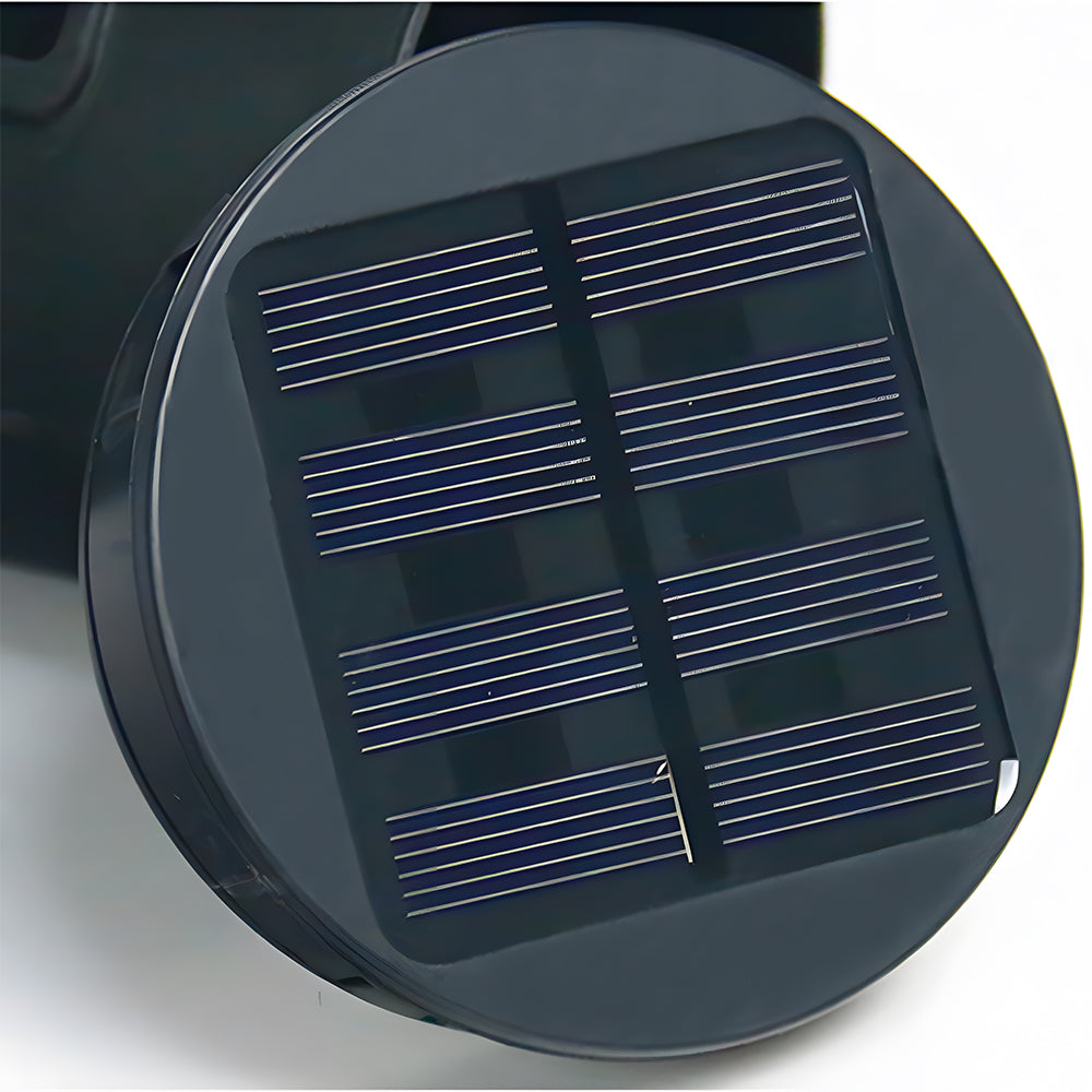 Solenne Solar Garden Path Light for Outdoor Use
