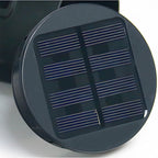 Solenne Solar Garden Path Light for Outdoor Use