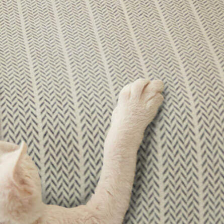 Couch Cover Anti-Scratch Chenille - Pet Friendly Sofa Protector