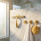 Stainless Steel Shower Squeegee with Wall Hook